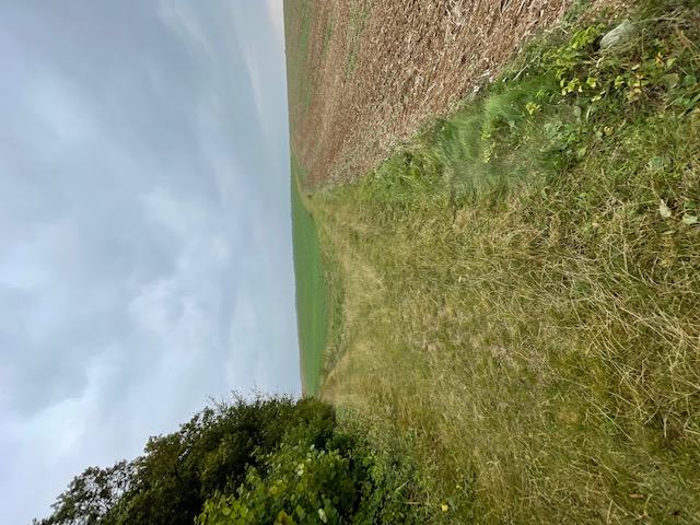 LE PLATEAU ET LE FOND DES VALLÉES