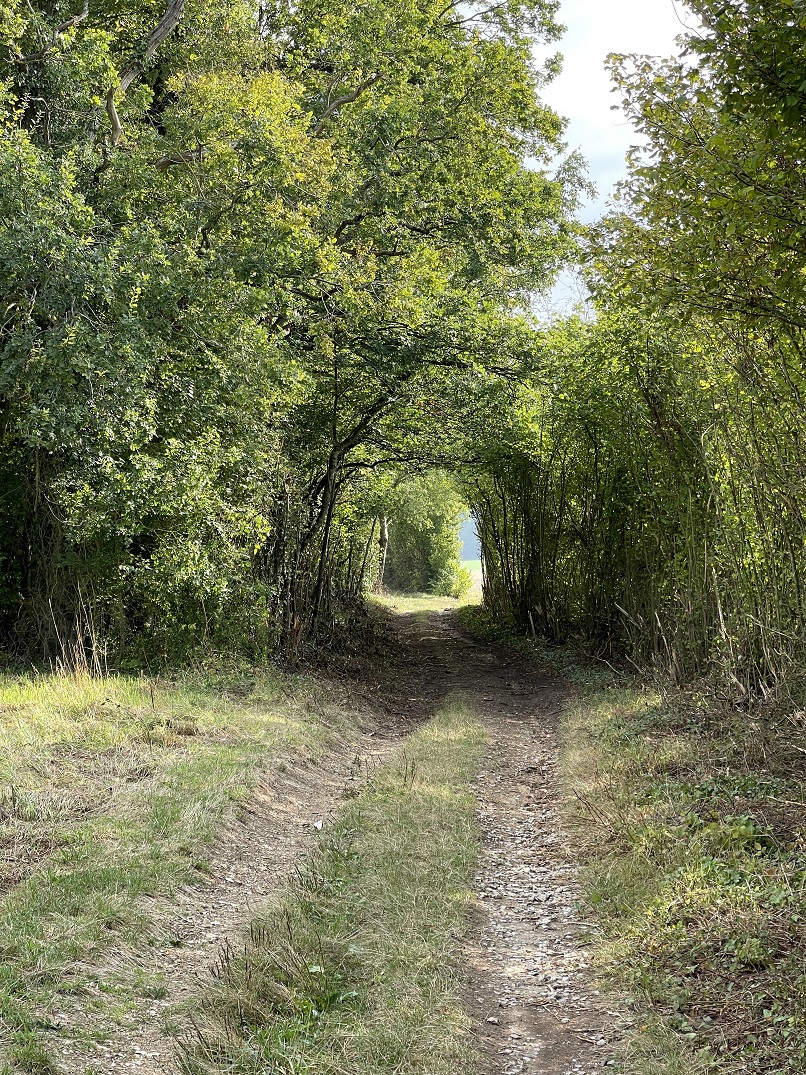 LE PLATEAU ET LE FOND DES VALLÉES