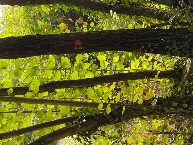 LE PLATEAU ET LE FOND DES VALLÉES