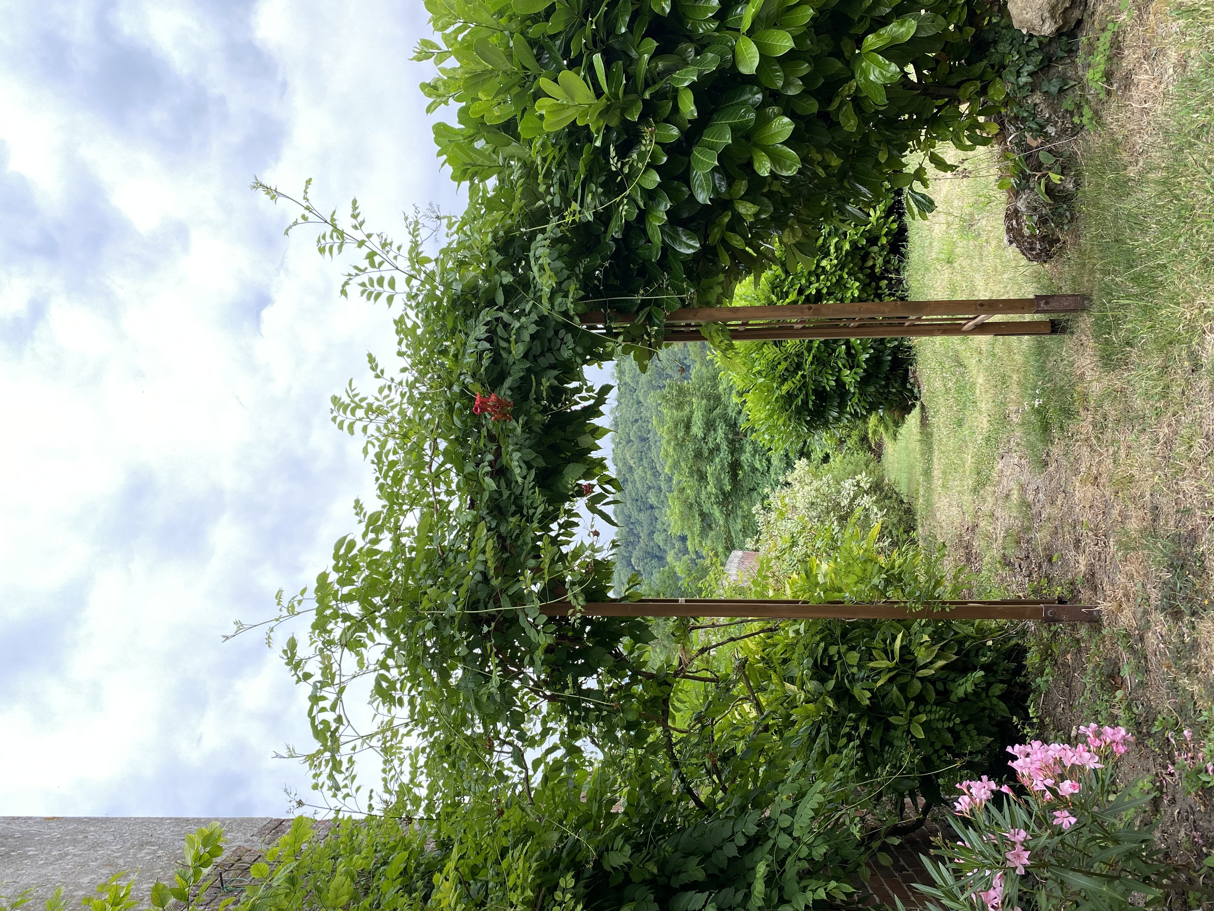 jardin