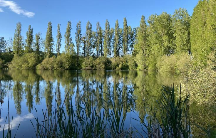 L'étang du camping