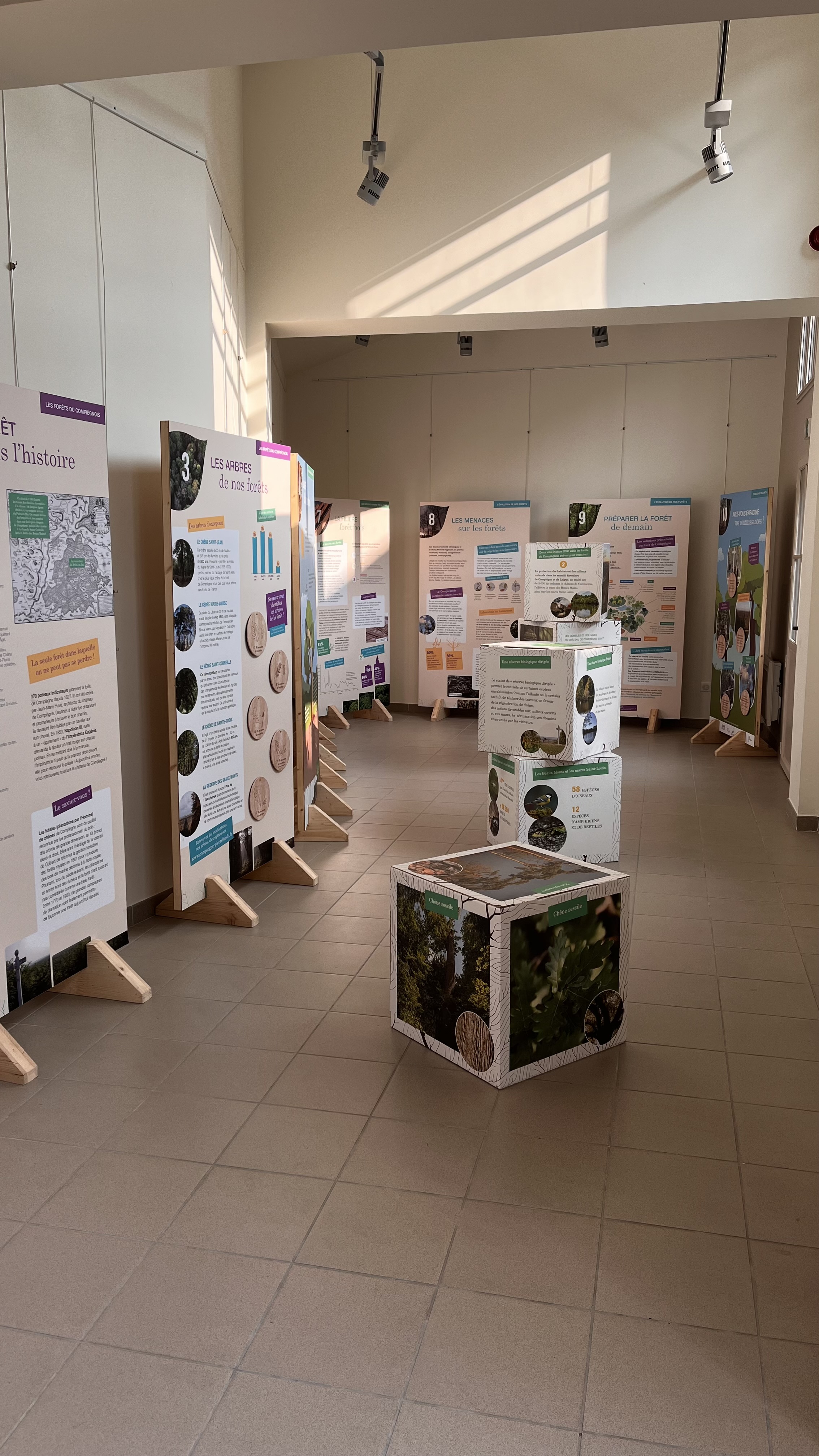 Les Forêts du Compiègnois | Association du Pays Compiègnois