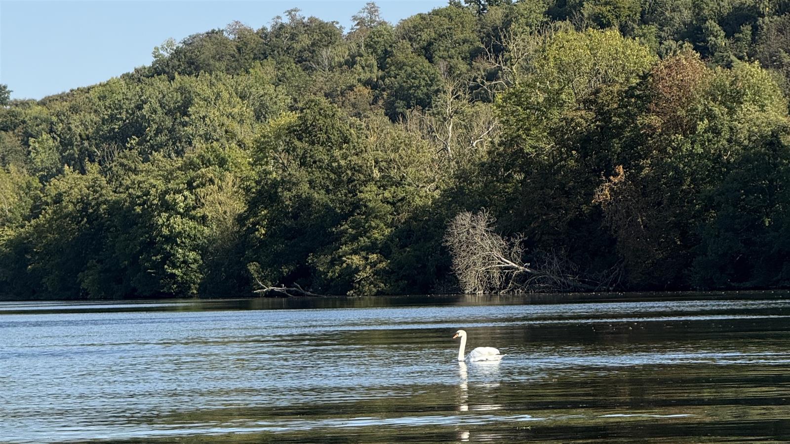 JP Racing, balade en bateau sur l'Oise