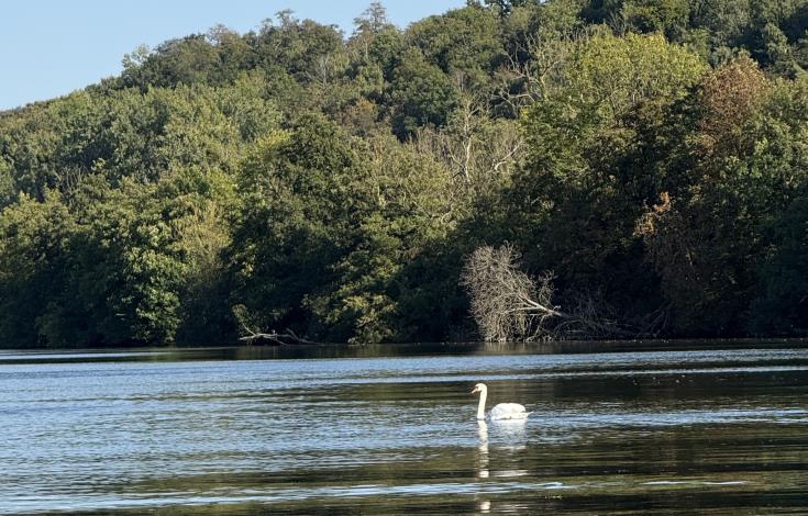 JP Racing, balade en bateau sur l'Oise