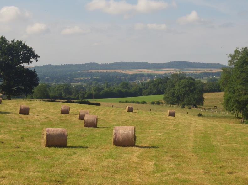 Paysage Pays de Bray