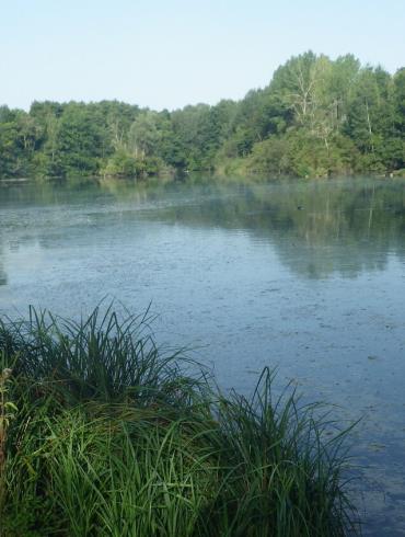 Etang de Lavilletertre