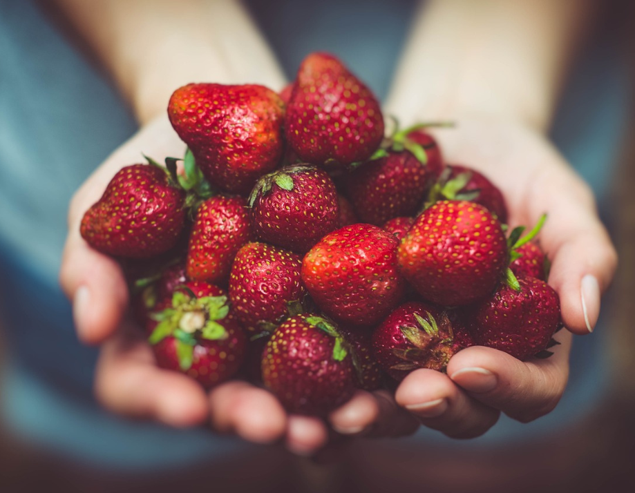 fraises