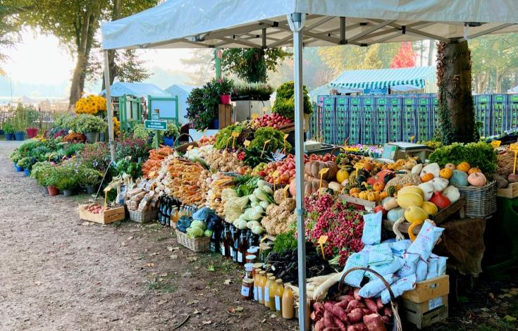 Jardins de Hautefontaine 