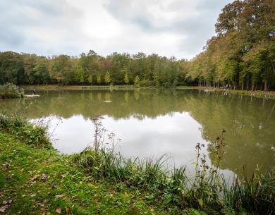 La-Neuville-En-Hez_foret_2018©BrunoBEUCHER (54)