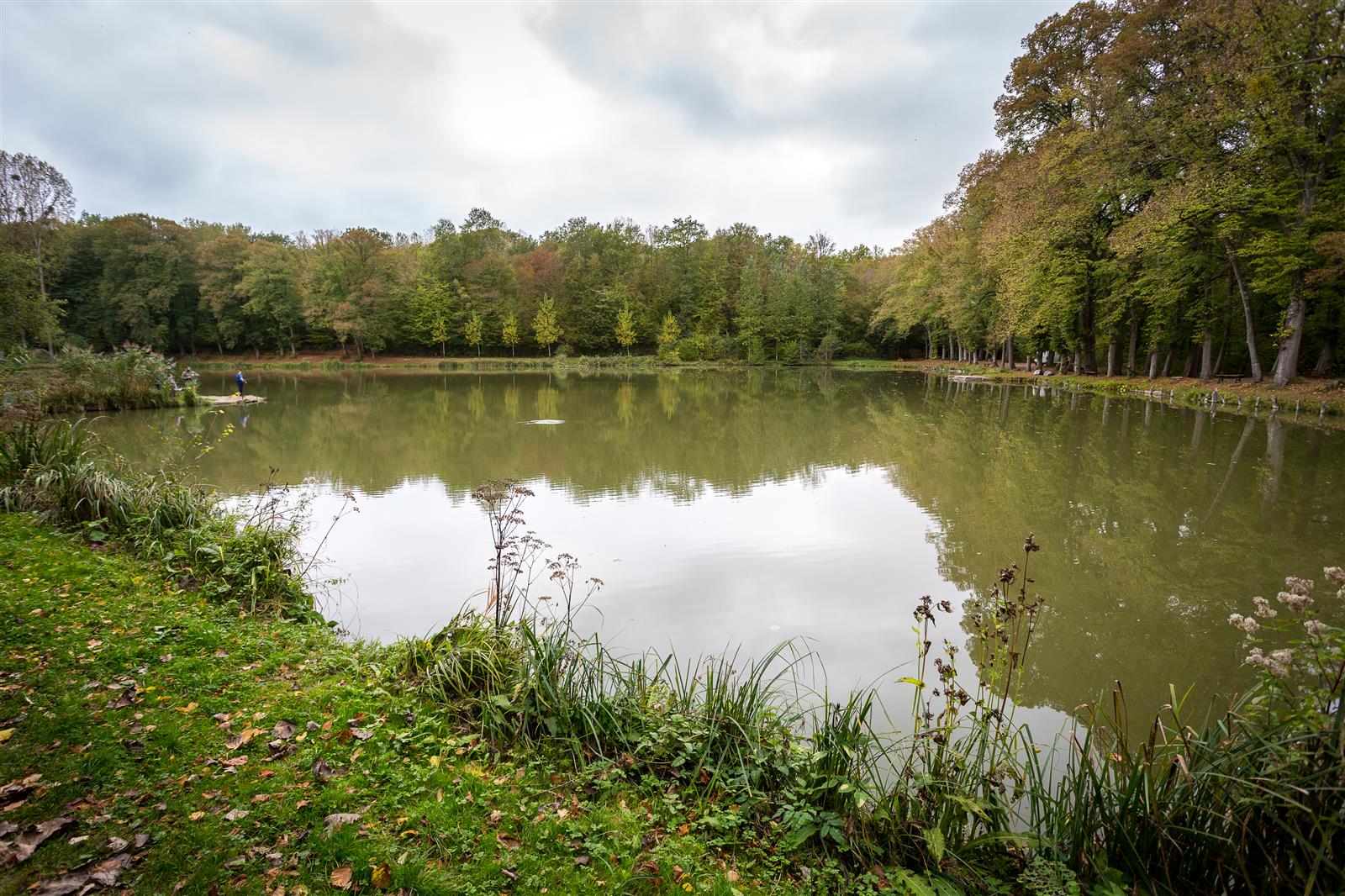 La-Neuville-En-Hez_foret_2018©BrunoBEUCHER (54)
