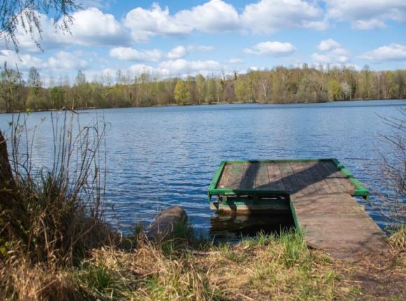 Les etangs
