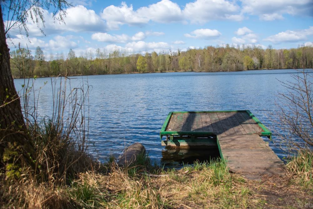 Les etangs