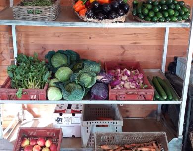 Les serres de Courtieux 3