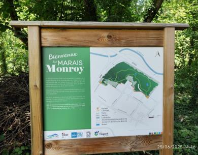 Marais Monroy_Nogent-sur-oise zone humide