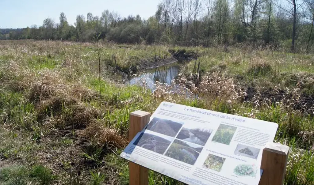 Marais-de-Bresles-Oise-©R.Monnehay-CEN-Hauts-de-France-rja3q39wfzcnrbss5lfiul0e0dgz16qnvw646rx194