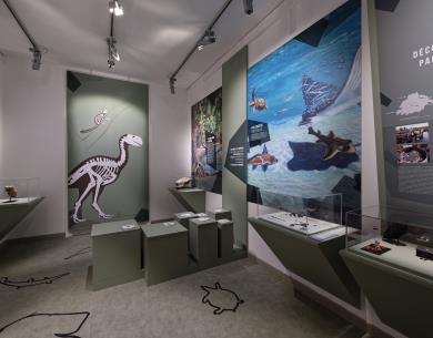 Musée Vivenel_Salle Préhistorique_© Edouard Bernaux - ARC (6)