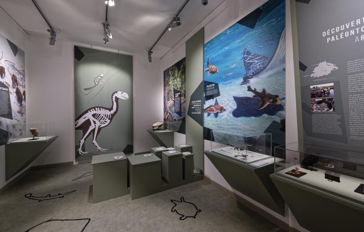 Musée Vivenel_Salle Préhistorique_© Edouard Bernaux - ARC (6)