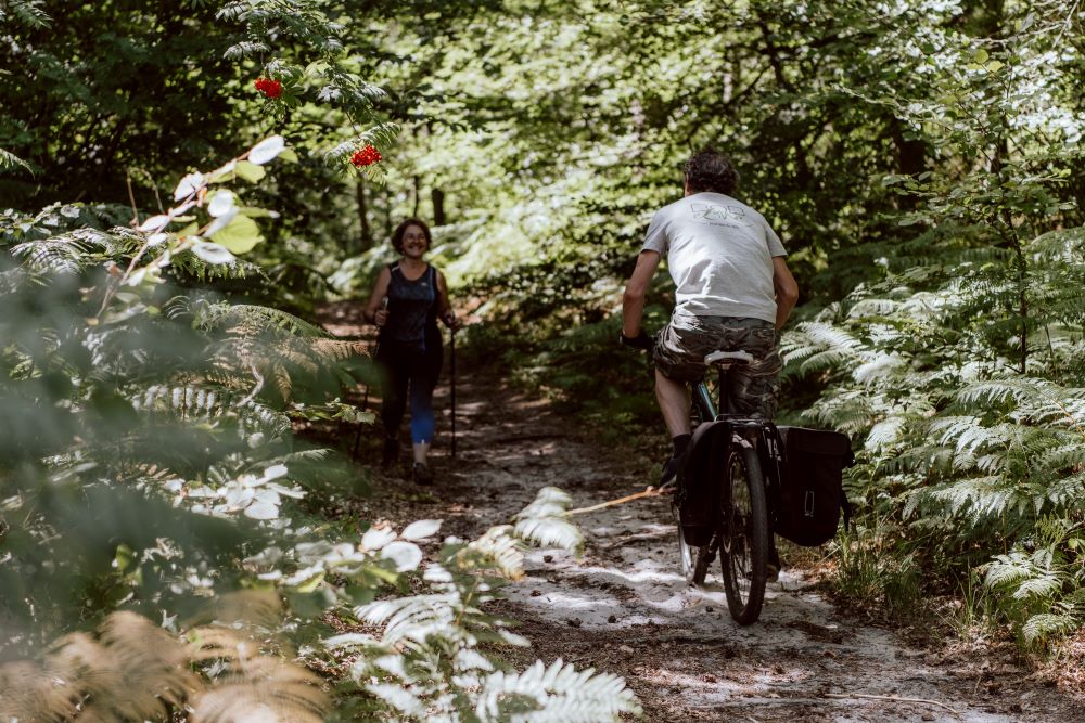 Oise_EV3_ERMENONVILLE