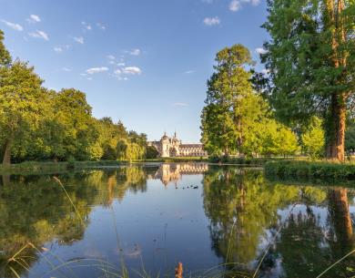 PARC_CHATEAU_CHANTILLY ©Thibault Charpentier