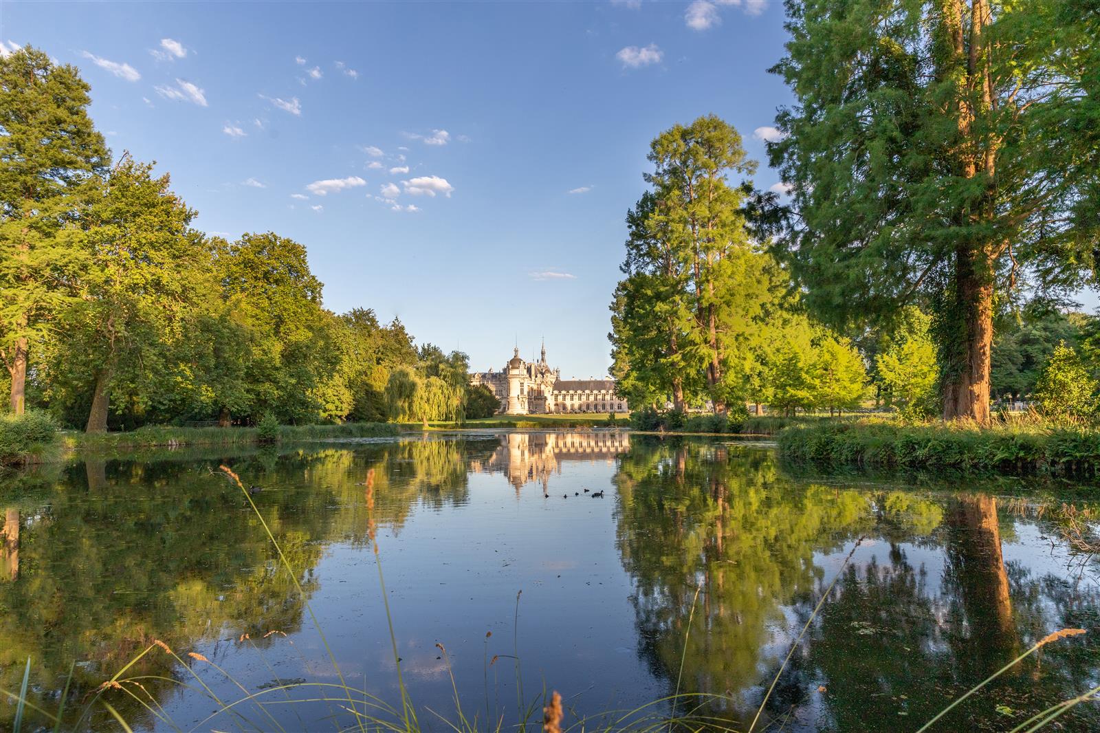 PARC_CHATEAU_CHANTILLY ©Thibault Charpentier