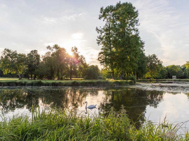 PARC_CHATEAU_CHANTILLY ©Thibault Charpentier