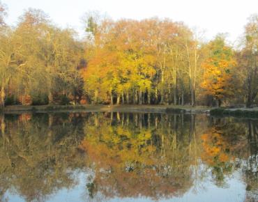 PNA_Parc Jean-Jacques Rousseau _ automne sur le lac_Oise Tourisme _ Parc JJR