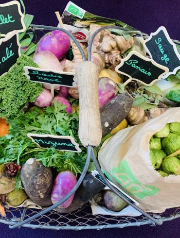 Panier de légumes bio