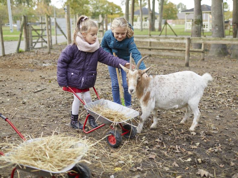 Parc_Chedeville_OiseTourisme@2020_HerveTallon 13