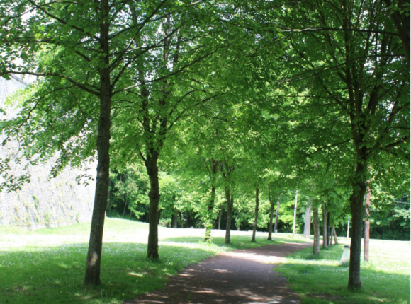 Parc du Chatellier