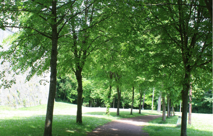 Parc du Chatellier