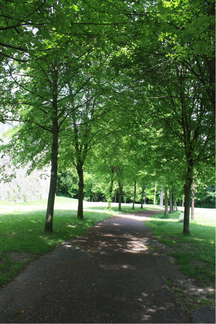 Parc du Chatellier