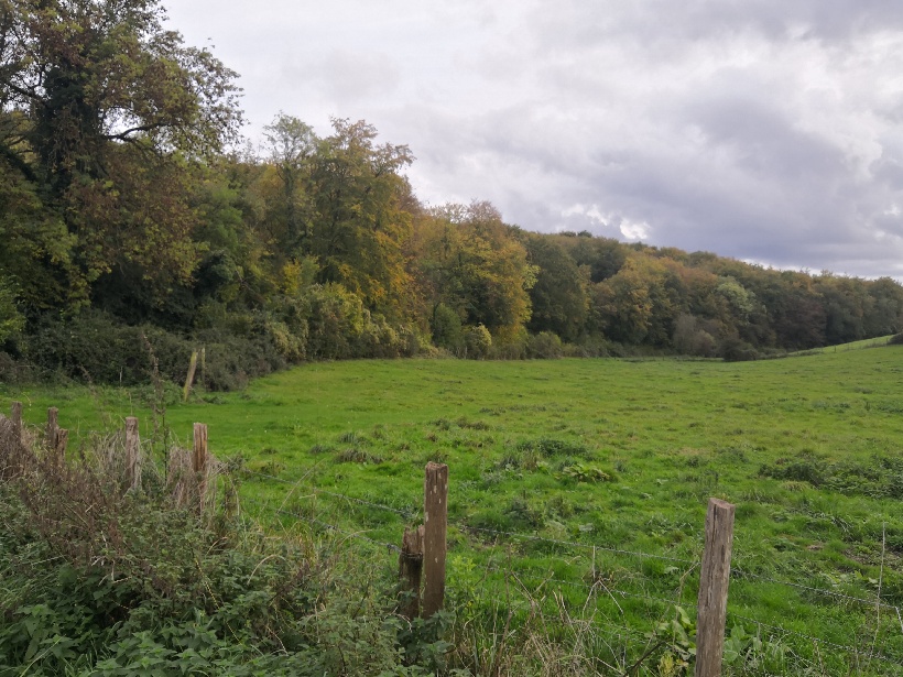 Entre Novillers et Lachapelle