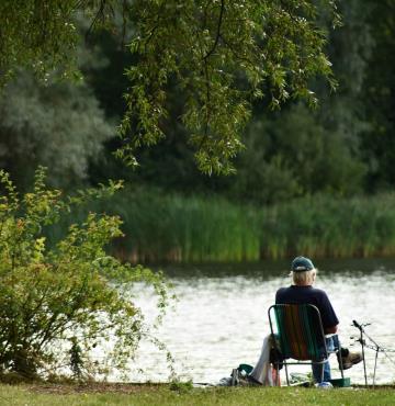 Pêcheur en bord d'étang