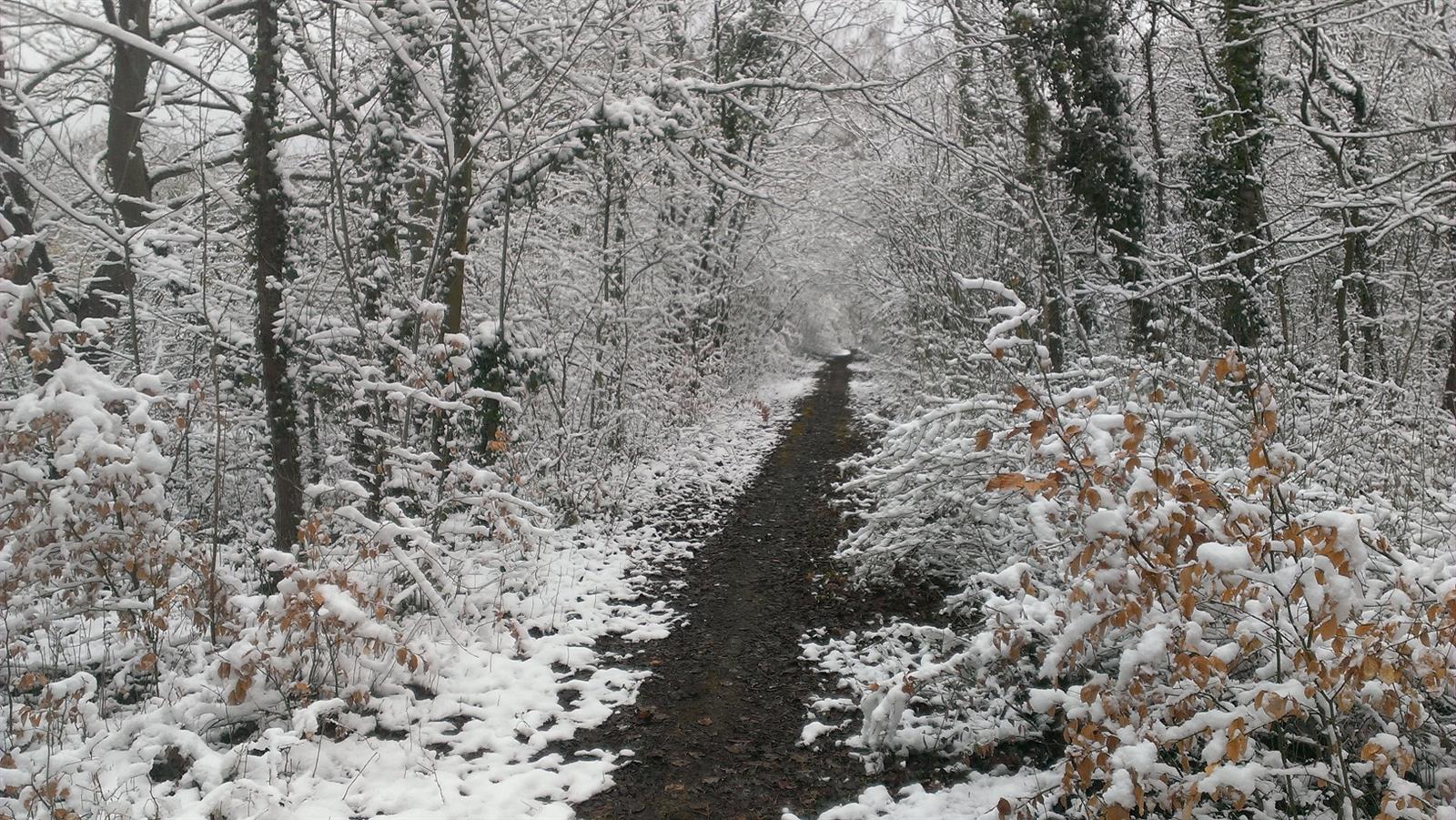 La randonnée des Sources