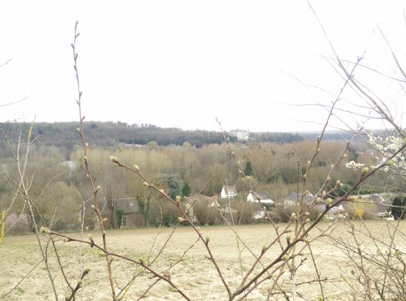 Photo 2 château Mello