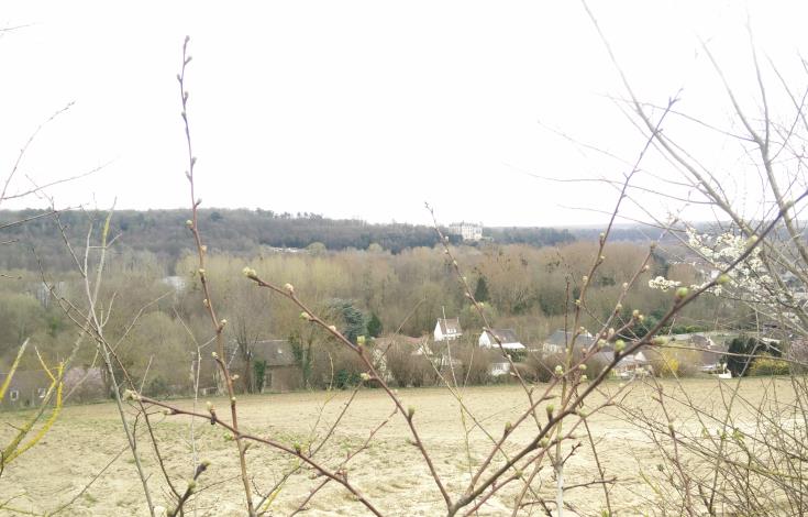 Photo 2 château Mello