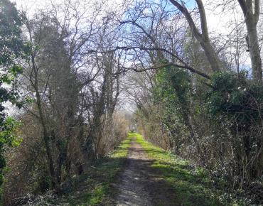 Verdure et ancienne ligne de chemin de fer