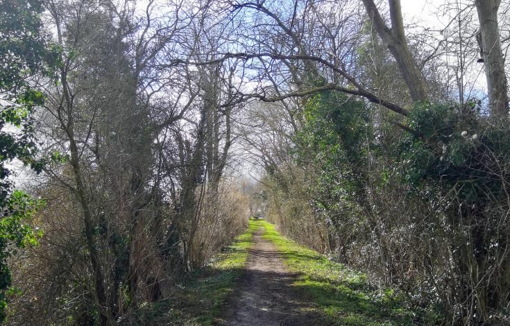 Verdure et ancienne ligne de chemin de fer