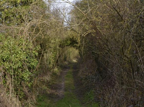 La Plaine de la Touffe Gilles