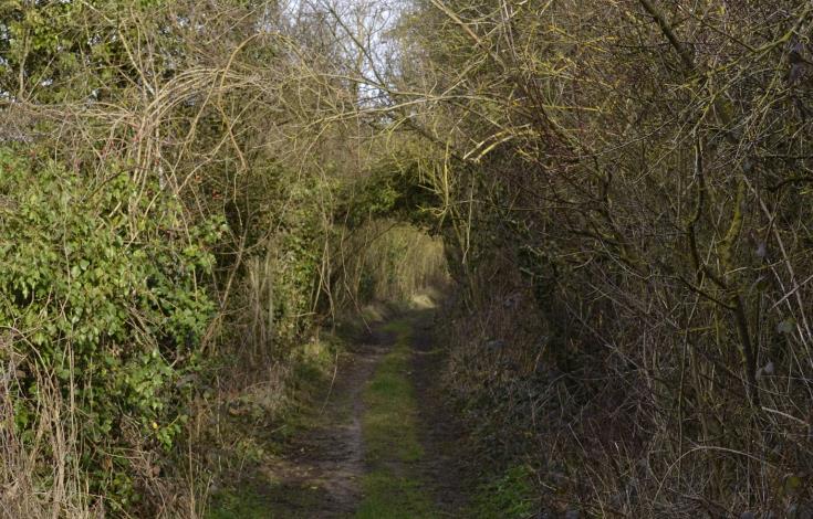 La Plaine de la Touffe Gilles