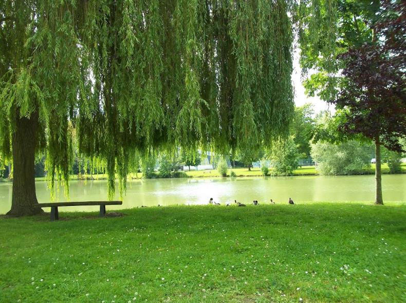 Camping de l'Aigrette