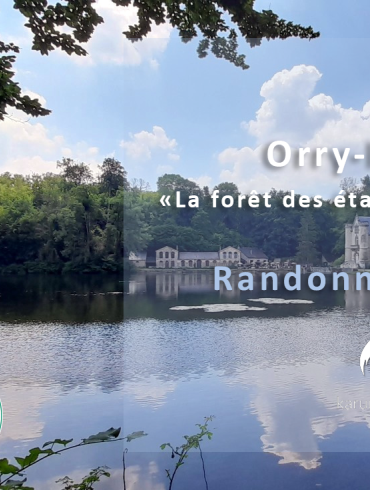 Orry-la-Ville, "La forêt des étangs de Comelles"