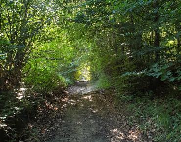 Randonnee-Du-mont-Volant-aux-Ployes--1-