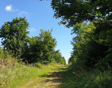 Randonnee-Du-mont-Volant-aux-Ployes--2-