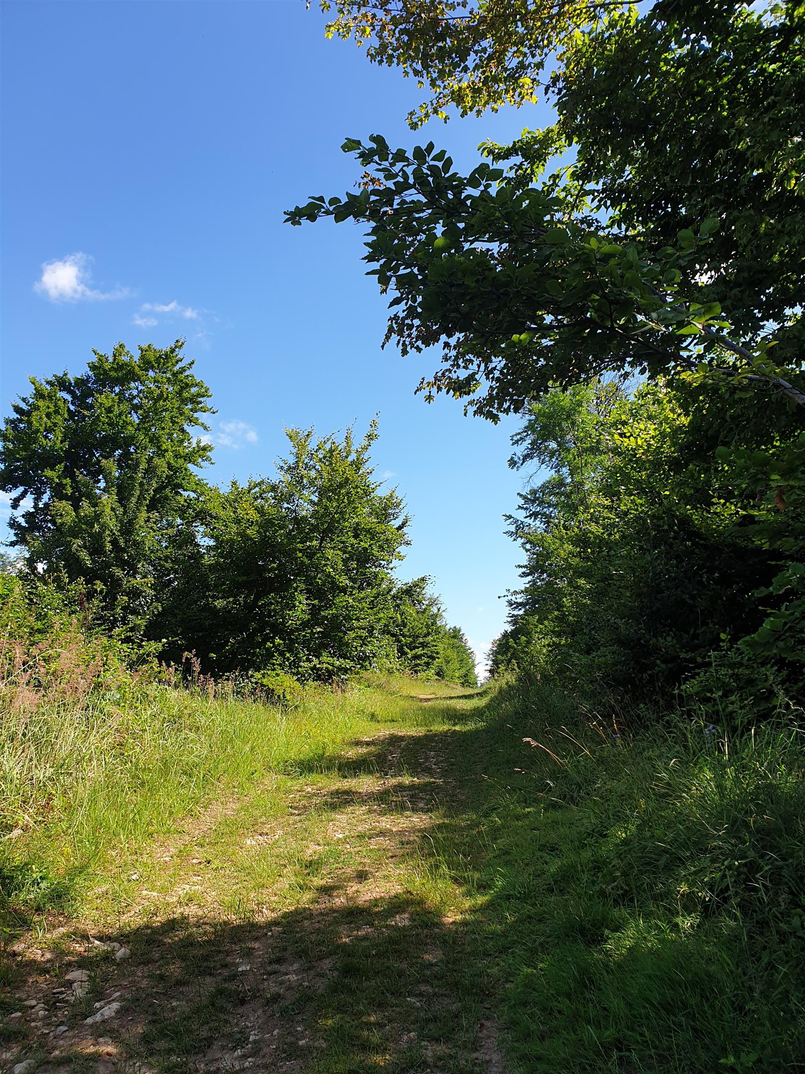 Randonnee-Du-mont-Volant-aux-Ployes--2-