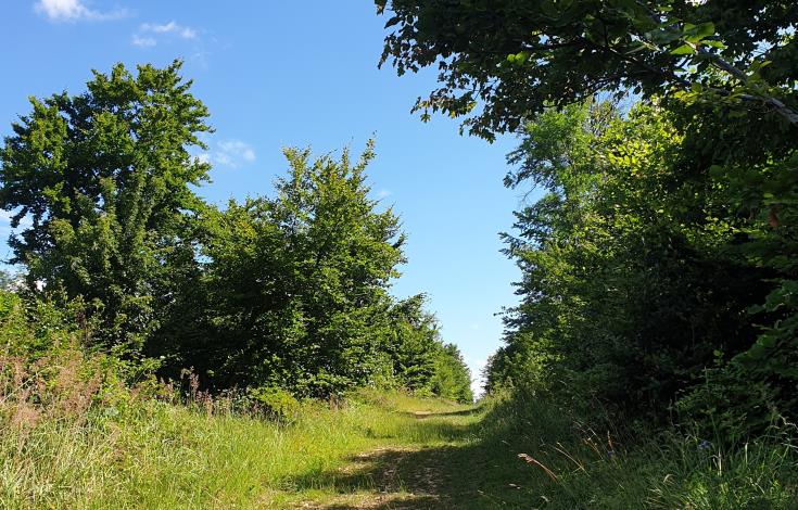 Randonnee-Du-mont-Volant-aux-Ployes--2-