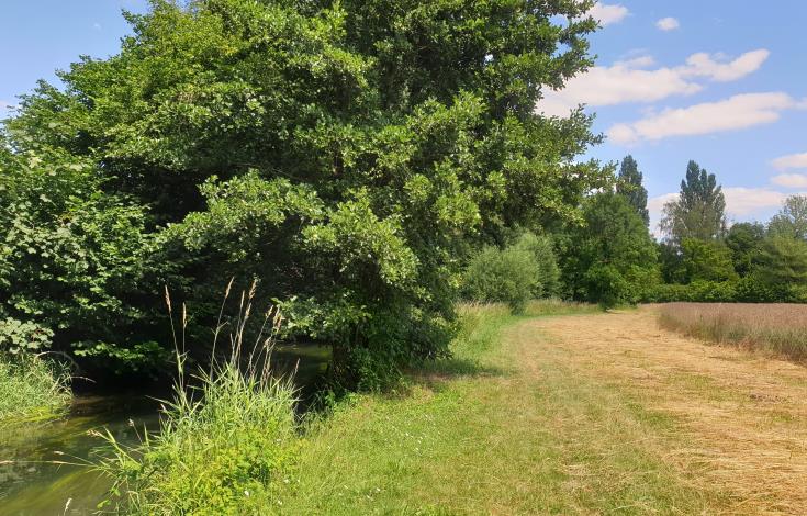Randonnée Du mont Volant aux Ployes (3)