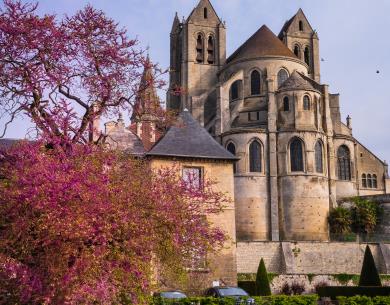 SAINT_LEU_D_ESSERENT-Abbatiale-Creil_Sud_Oise_Tourisme (370)