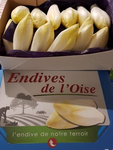 SASU-Bertin-Stephane