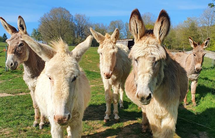 Savonnerie-La-Salamandre-Saint-Paul2022(c)La-Salamandre (2)